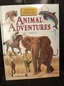 South African Animal Adventures