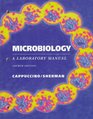 Microbiology A Laboratory Manual