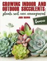 Growing Indoor and Outdoor Succulents Plants Soil Care Arrangement