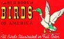 The Red Book of Birds of America