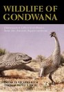 Wildlife of Gondwana: Dinosaurs and Other Vertebrates from the Ancient Supercontinent (Life of the Past)