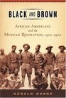 Black And Brown: African Americans And The Mexican Revolution, 1910-1920 (American History and Culture Series)