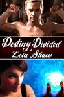 Destiny Divided Shadows of Destiny Series
