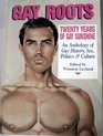 Gay Roots 20 Years of Gay Sunshine  An Anthology of Gay History Sex Politics and Culture