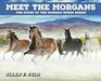 Meet The Morgans The Stars of the Morgan Horse Series