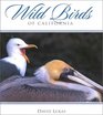 Wild Birds of California