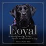 Loyal 38 Inspiring Tales of Bravery Heroism and the Devotion of Dogs