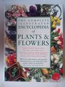 The Complete Illustrated Encyclopedia of Plants  Flowers