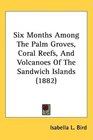 Six Months Among The Palm Groves Coral Reefs And Volcanoes Of The Sandwich Islands