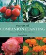 Secrets of Companion Planting Plants That Help Plants That Hurt