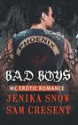 Bad Boys MC Erotic Romance