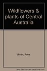 Wildflowers  plants of Central Australia