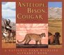 Antelope Bison Cougar A National Park Wildlife Alphabet Book