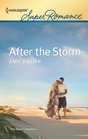 After the Storm (Texas Firefighters, Bk 6) (Harlequin Superromance, No 1813)