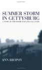Summer Storm In Gettysburg A Story of Friendship War And Galantry