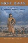 Soft Rain A Story of the Cherokee Trail of Tears