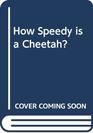 How Speedy is a Cheetah