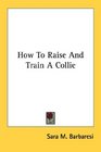 How To Raise And Train A Collie