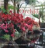 The Orchid Show
