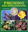 Pruning  Why When and Where
