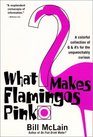 What Makes Flamingos Pink? : A Colorful Collection of Q  A's for the Unquenchably Curious