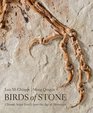 Birds of Stone Chinese Avian Fossils from the Age of Dinosaurs