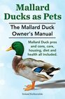 Mallard Ducks as Pets The Mallard Duck Owner's Manual Mallard Duck pros and cons care housing diet and health all included