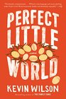 Perfect Little World A Novel