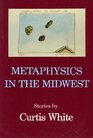 Metaphysics In The Midwest