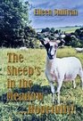 The Sheep's in the Meadow Hopefully