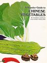 Chinese Market Vegetables