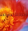 The Ancient and Healing Art of Aromatherapy