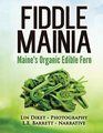 Fiddlemainia: Maine's Organic Edible Fern