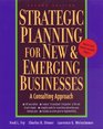 Strategic Planning for New  Emerging Businesses A Consulting Approach