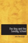 The Boy and the Sunday School A Manual of Principle  Method