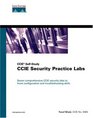 CCIE Security Practice Labs