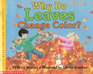 Why Do Leaves Change Color