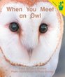 Early Reader When You Meet an Owl