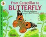 From Caterpillar to Butterfly (Let's-Read-and-Find-Out Science 1)