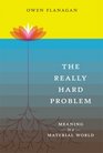 The Really Hard Problem Meaning in a Material World