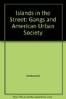 Islands in the Street Gangs and American Urban Society