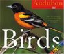 Audubon 365 Birds PageADay Calendar 2007