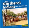 The Northeast Indians Daily Life In The 1500s