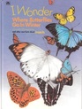I Wonder Where Butterflies Go in Winter And Other Neat Facts About Insects