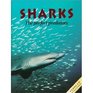 Sharks: The Perfect Predators