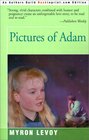 Pictures of Adam