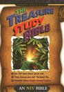 The Treasure Study Bible  An NIV Bible