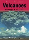 Volcanoes: Disaster & Survival (Deadly Disasters)