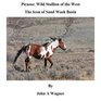 Picasso Wild Stallion of the West The Icon of Sand Wash Basin