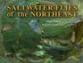 Saltwater Flies of the Northeast